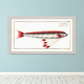 ジャイアントオアルフィッシュヴィンテージプリント キャンバスプリント (インサイチュ (ウッドフロア))