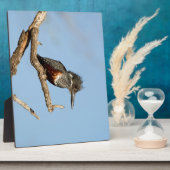 ジャイアントキングフィッシャー フォトプラーク (側面)