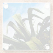 ジャイアントグリーンアロエ工場 ガラスコースター (裏面)