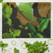 ジャイアントグリーンルナモス キッチンタオル (折り畳み)