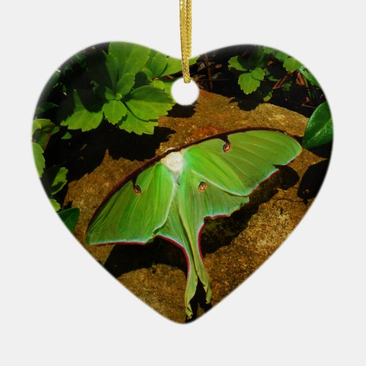 ジャイアントグリーンルナモス セラミックオーナメント (正面)