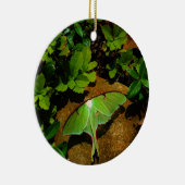 ジャイアントグリーンルナモス セラミックオーナメント (右)