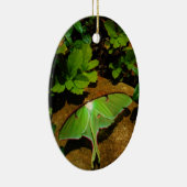 ジャイアントグリーンルナモス セラミックオーナメント (右)