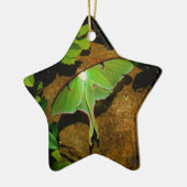 ジャイアントグリーンルナモス セラミックオーナメント (左)