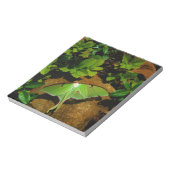 ジャイアントグリーンルナモス ノートパッド (回転)