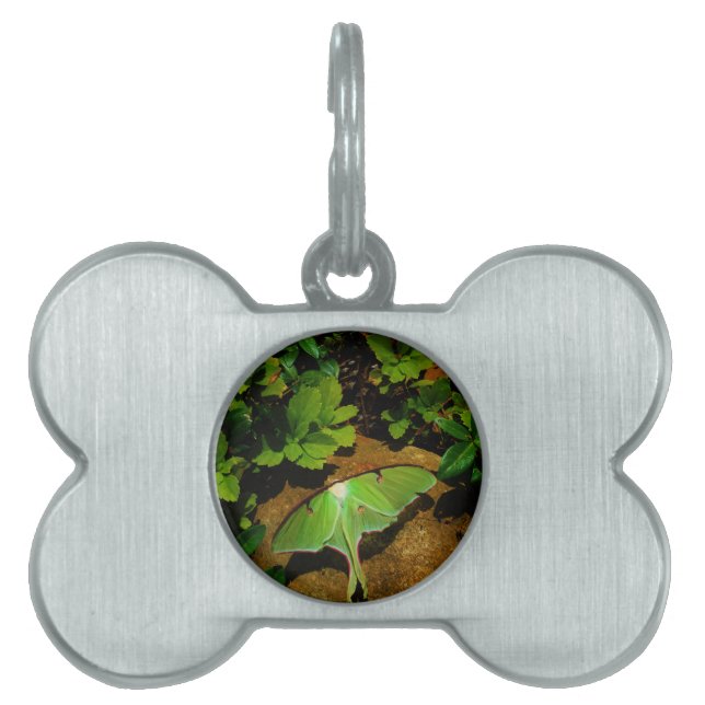 ジャイアントグリーンルナモス ペットネームタグ (正面)