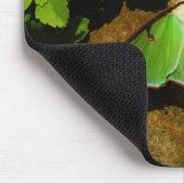 ジャイアントグリーンルナモス マウスパッド (コーナー)