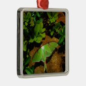 ジャイアントグリーンルナモス メタルオーナメント (右)