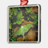 ジャイアントグリーンルナモス メタルオーナメント (左)