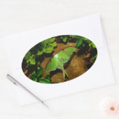 ジャイアントグリーンルナモス 楕円形シール (封筒)