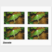 ジャイアントグリーンルナモス 長方形シール (シート)