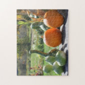 ジャイアントグルズカボチャ絵画の写真 ジグソーパズル (縦)