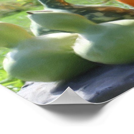 ジャイアントグルズカボチャ絵画の写真 ポスター (角)