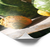 ジャイアントグルズ自然 フォトプリント            (角)