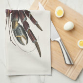 ジャイアントココナッツカニ-ヴィンテージイラストレーション キッチンタオル (四つ折り)