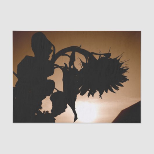 ジャイアントサンフラワーズセピアブラウンヴィンテージデクページ 薄葉紙 (正面)