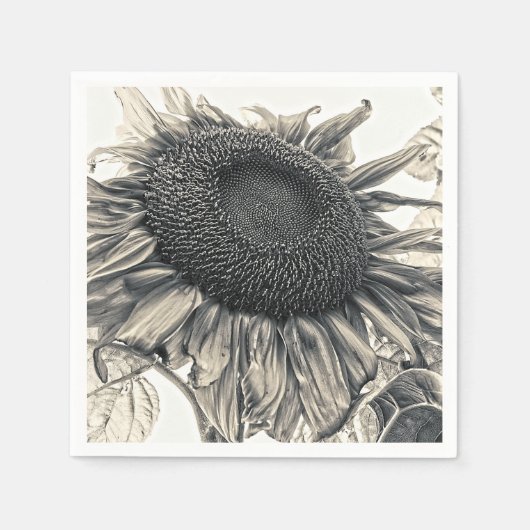 ジャイアントサンフラワーズヴィンテージセピアアートデクページ スタンダードカクテルナプキン (正面)