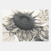 ジャイアントサンフラワーズヴィンテージセピアデカップアート ラッピングペーパーシート (正面3)