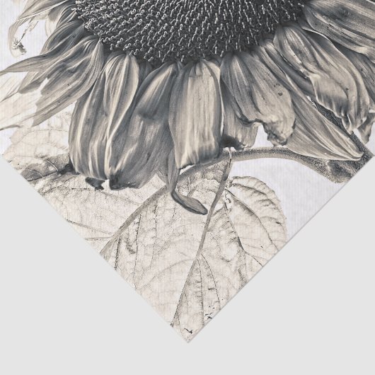 ジャイアントサンフラワーズヴィンテージセピアデカップアート 薄葉紙 (詳細)
