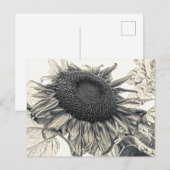 ジャイアントサンフラワーズヴィンテージセピアデコパージュアート ポストカード (正面/裏面)