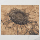 ジャイアントサンフラワーズヴィンテージセピアブラウンデカップアート (裏面)