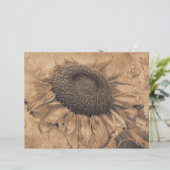 ジャイアントサンフラワーズヴィンテージセピアブラウンデカップアート (スタンド正面)