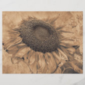 ジャイアントサンフラワーズヴィンテージセピアブラウンデカップアート (正面)