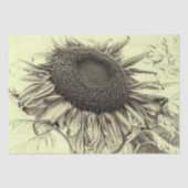 ジャイアントサンフラワーズヴィンテージレトロイエローデコパージュ 薄葉紙 (正面)