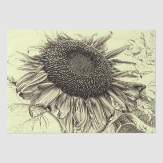 ジャイアントサンフラワーズヴィンテージレトロイエローデコパージュ 薄葉紙 (正面)