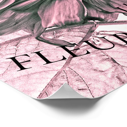 ジャイアントサンフラワーズヴィンテージ赤面ピンクのスクリプトアート ポスター (角)