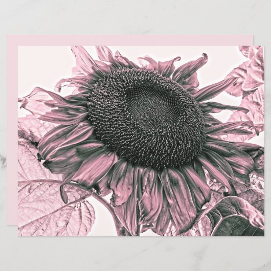 ジャイアントサンフラワーズヴィンテージ赤面ピンクデカップアート (正面/裏面)