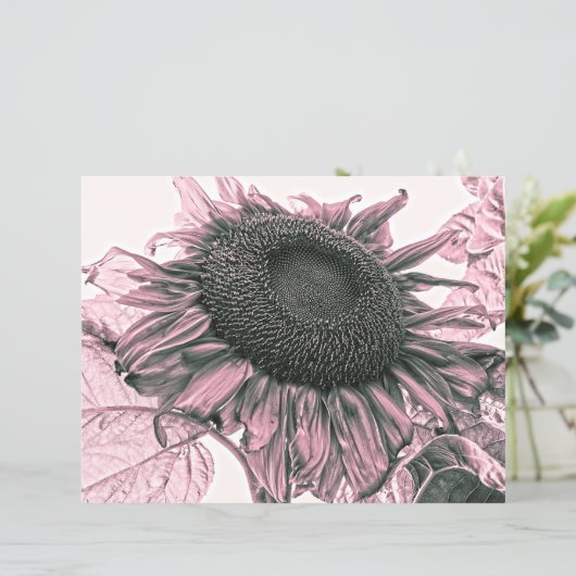 ジャイアントサンフラワーズヴィンテージ赤面ピンクデカップアート (スタンド正面)