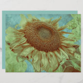 ジャイアントサンフラワーティール(緑がかった色)イエローグリーンアンティークヴィンテージ (正面/裏面)