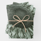 ジャイアントサンフラワーライトグリーンヴィンテージアンティークアート ラッピングペーパーシート (インサイチュ)