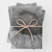 ジャイアントサンフラワーヴィンテージスタイル白黒アート ラッピングペーパーシート (インサイチュ)