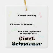 ジャイアントシュナウザーオーナメント セラミックオーナメント (正面)