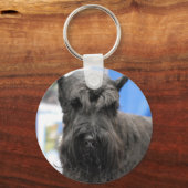 ジャイアントシュナウザーキーチェーン キーホルダー (正面)