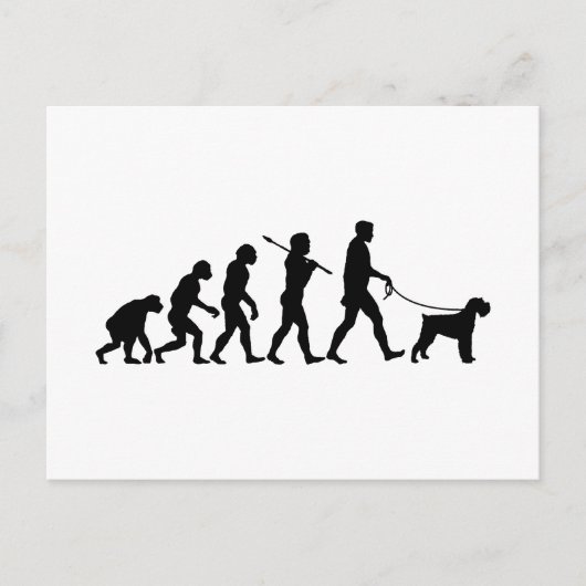 ジャイアントシュナウザー ポストカード (正面)