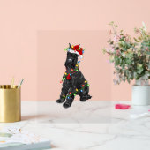 ジャイアントシュナウツァー恋人クリスマスサンタジャイアントシュナウザーC アクリルサイン (ウェディング)