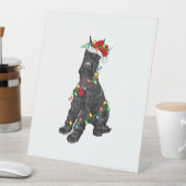 ジャイアントシュナウツァー恋人クリスマスサンタジャイアントシュナウザーC 台座サイン (インサイチュ)