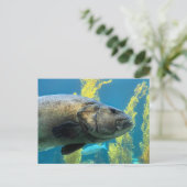 ジャイアントシーバス ポストカード (スタンド正面)