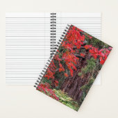 ジャイアントセコイアとレッドメープル離れの ノートブック (内側)