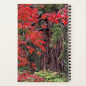 ジャイアントセコイアとレッドメープル離れの ノートブック (裏面)