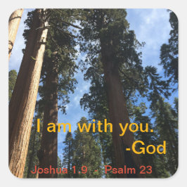 ジャイアントセコイアスカイビュー スクエアシール