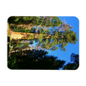 ジャイアントセコイア国記念碑 マグネット (横)