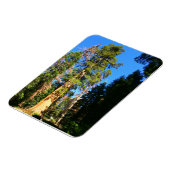 ジャイアントセコイア国記念碑 マグネット (左側)