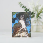 ジャイアントセコイア ポストカード (スタンド正面)