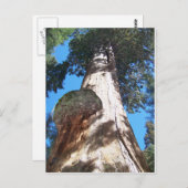 ジャイアントセコイア ポストカード (正面/裏面)