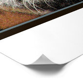 ジャイアントタイガープリント ポスター (角)