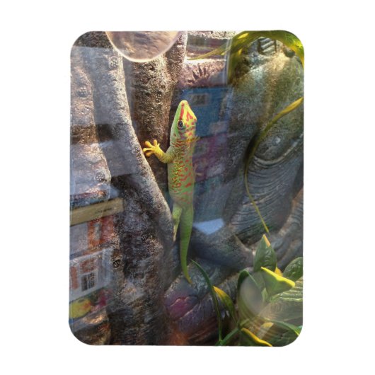 ジャイアントデイゲッコ磁石 マグネット (縦)